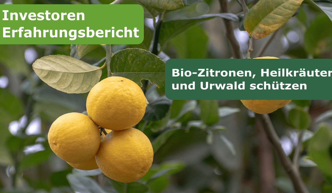 Investoren Erfahrungsbericht: Bio-Zitronen, Heilkräuter und Urwald schützen