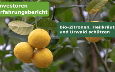 Investoren Erfahrungsbericht: Bio-Zitronen, Heilkräuter und Urwald schützen